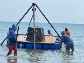 Redam Abrasi, PHE WMO Tanam 120 Ton Hexa Reef di Tlangoh Bangkalan