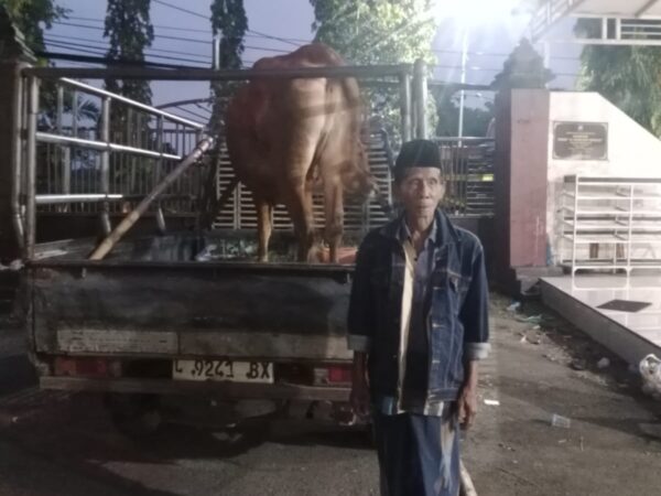 Sapi Warga Kwanyar Digondol Maling Saat Subuh, Nyaris Laku Ditransaksikan di Galis