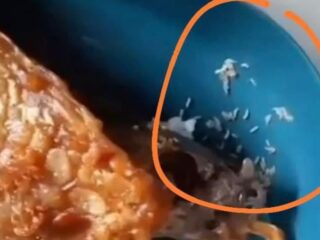 Menu Berisi Ulat, SPPG Yayasan Alhumaira Sejahtera Pamekasan Minta Maaf