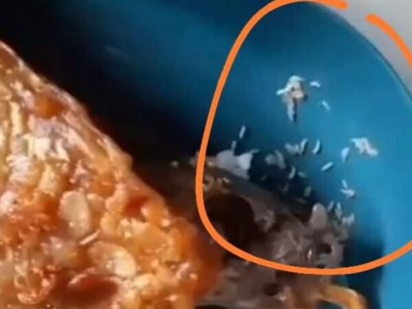 Menu Berisi Ulat, SPPG Yayasan Alhumaira Sejahtera Pamekasan Minta Maaf