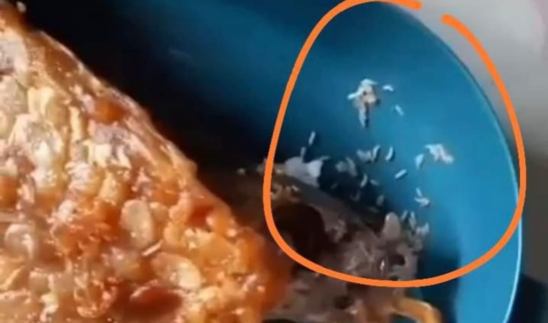 Menu Berisi Ulat, SPPG Yayasan Alhumaira Sejahtera Pamekasan Minta Maaf