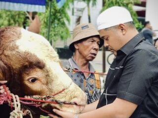 Hari Raya Iduladha, Majelis Tangga Seribu Pamekasan Bagikan Ribuan Paket Daging