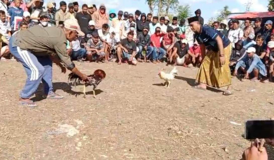 Dugaan Sabung Ayam Dekat Pesantren, Warga Sokobanah Sampang Berharap Adanya Penertiban