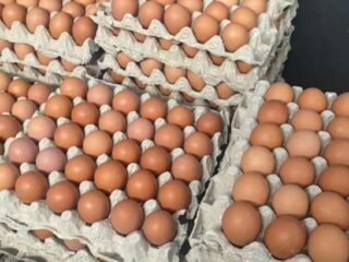 Imbas MBG Tutup Sementara, Harga Telur di Pamekasan Turun Drastis
