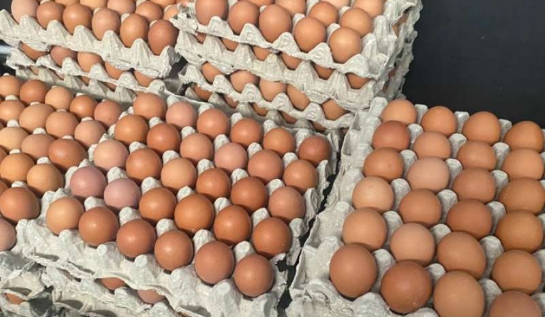 Imbas MBG Tutup Sementara, Harga Telur di Pamekasan Turun Drastis