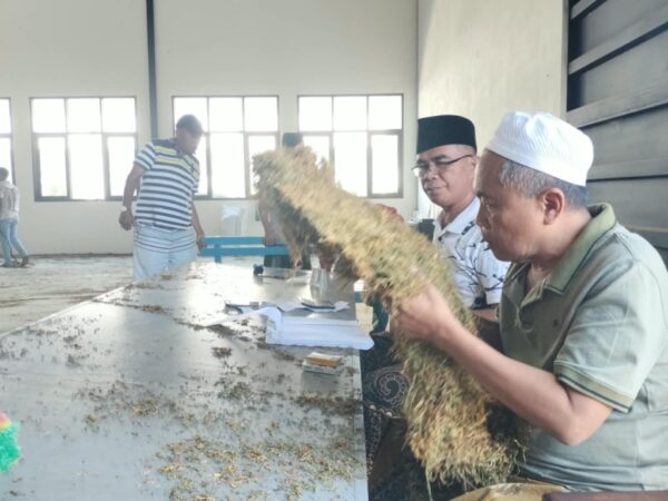 Bos H. Mukmin Targetkan Pembelian 1.000 Ton Tembakau