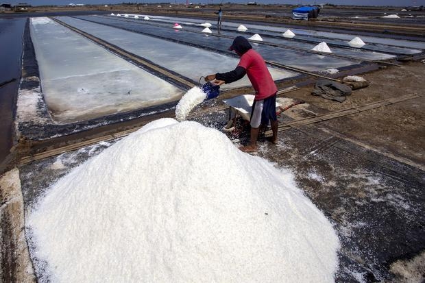 Tiga Kabupaten di Madura Masuk Daftar Penghasil Garam Terbesar di Indonesia