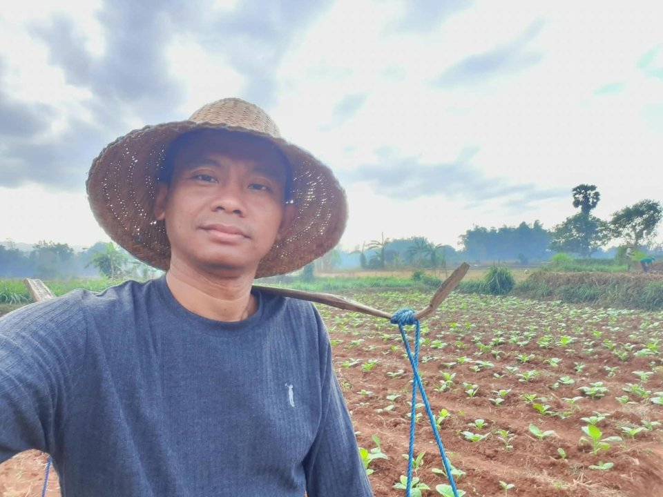 Gudang Garam Mengeluh, Tempo Memburu, Petani Membayar