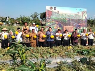 CV Ayunda dan Lapas Pamekasan Panen Perdana Ribuan Semangka