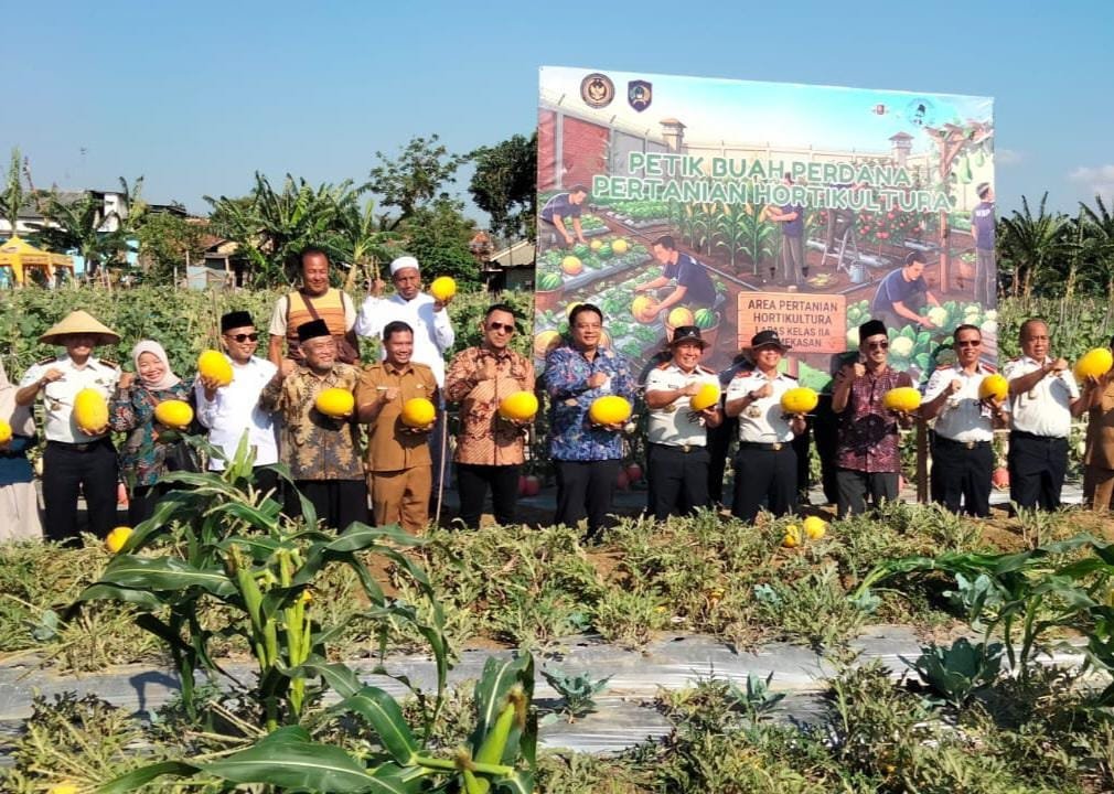 CV Ayunda dan Lapas Pamekasan Panen Perdana Ribuan Semangka