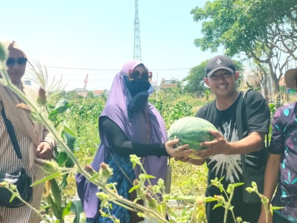 Istri Muda Bupati Pamekasan Antusias Petik Buah di Kebun SAE Farm Lapas
